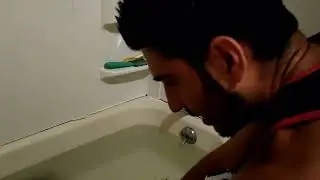 Turtle let's owners pet it's hands and head