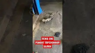 ЖЕСТЬ на СТО №79✅ ПЕЖО 206 - ТОРСИОННАЯ БАЛКА!!!