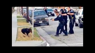 OH, NO....American Cops like shooting dogs