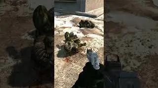 Башку оторвало, но откуда стоны?)) Сталкер Anomaly H.A.Z.E: Reloaded 