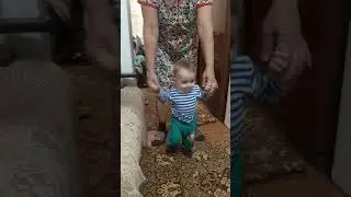 Первые шаги