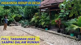 TANAMAN HIAS FULL SAMPAI DI DALAM RUMAH. SANGAT INDAH SEKALI.