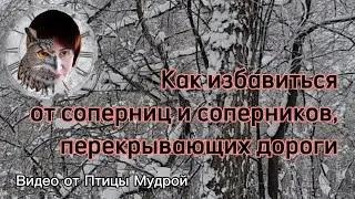 Как избавиться от соперниц и соперников, перекрывающих дороги