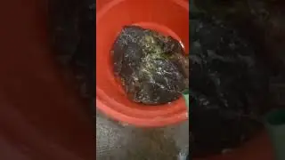 купия тас кім бледі