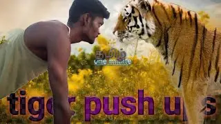 tiger band push ups tamil @villageboykaviyan396  #villageboykaviyan #tiger push ups #bodybuilding