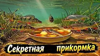 Прикормка из ухи. Лекарство от бесклёвья.