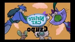 Not Sure What I Did To Nature Cat Csupo