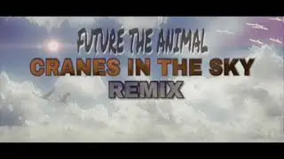 Solange Ft Future The Animal - Cranes In The Sky Remix (2017)
