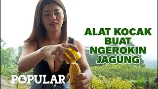 ALAT KOCAK BUAT NGEROKIN JAGUNG | 