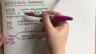 Block 3 quiz feedback