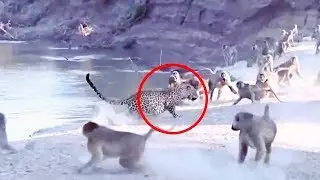 5 Moments You Wouldn’t Believe if They Weren’t Recorded! #3