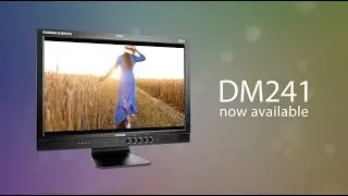 DM241 24
