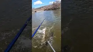 I wasn’t paying attention…
