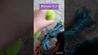 Обзор на Тишкины игрушки #mrbeast #taksa #а4#животные #собак #tisha#dog #игры #sobaka#скибидитуалет