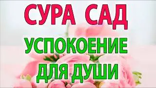 Те, которые не веруют, пребывают в гордыне и разладе с истиной! (Коран. Сура 38:1-11)