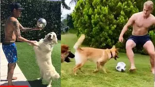 Football Stars Training with Their Dogs🔥