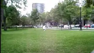 pixel the dog freestyle freesbie
