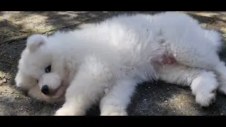 Комочек счастья,наша семья растёт