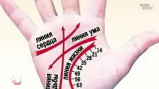 О ЧЕМ ГОВОРИТ линия судьбы? Часть1