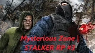 Вылазка По Затону - Сбор хлама в Mysterious Zone | STALKER RP #3