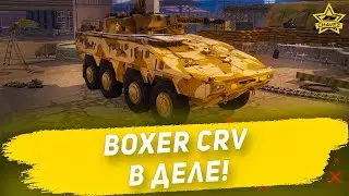 🔴Boxer CRV в деле! [19.00]