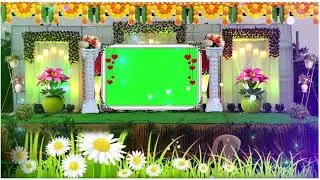 wedding background green screen background video // green screen effects wedding intro