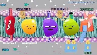 Unlocking the Mysteries of #Chemiosmosis☘️.