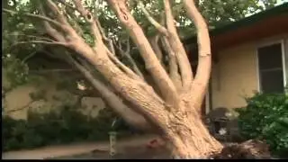 Residents begin cleanup after Wednesday's storm