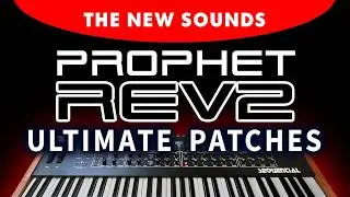 PROPHET REV2 | NEW for 2021 | The 200 New Synth Sounds / Patches / Presets