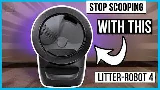 Shocking Truth About Litter-Robot 4