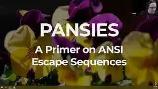Beautiful Terminal User Interfaces with Pansies  - Joel Bennett