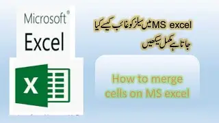 how to merge cells on MS excel urdu hindi tutorial 02