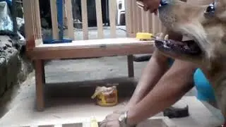 #makingBabyCrib