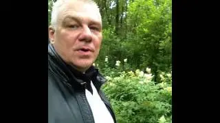 Многоярусный парк где белка