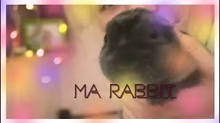 МОЙ НОВЫЙ ПИТОМЕЦ // Sonia R