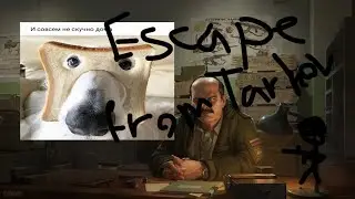 Мини вибдео по таркову