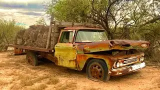 ‘61 Chevy ranch truck ABANDONED 38 years ago hauling hay. Will it run?
