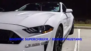 800WHP Procharged Camaro SS 8sp takes on 850WHP Whipple Mustang 5.0 10sp