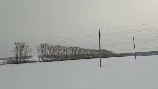 Охота на зайца. Мастерский выстрел в матерого русака.