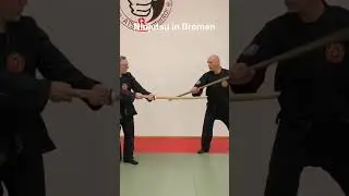 Jo Techniques JoJutsu #budo #japan #martialarts #bremen #weapons