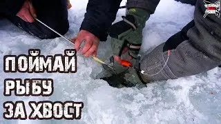 ДЕРЖИ ЕГО ЛЁХА!!!  Зимняя Рыбалка в декабре на мормышку. Крупный голавль и много ерша.