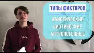 Факторы окружающей среды