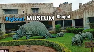 Rigional museum natural history of bhopal |Rigional museum of bhopal | Bhopal museum | 