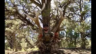 Elk Shed Hunting Brown Town Nevada! Best Trip Of The Year! Antler Trader