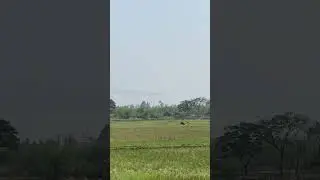 বাঁশখালী কয়লা বিদ্যুৎ