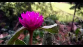 Cinematic B roll music. Inspiration. Mobile Videography