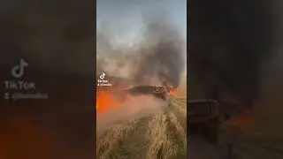 شاريا