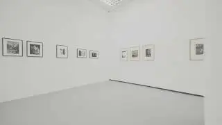 EXPANDED – I Paesaggi dell’arte. FOCUS 12