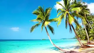 Beach Party Music | Tropical Mexican Beach | Relax, Work, Study & Ambience