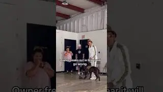 Big Scary Dog Meets The Dog Daddy